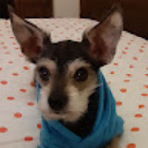 Meet your Posher, Stacey